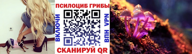 Галлюциногенные грибы MAGIC MUSHROOMS  Лихославль 